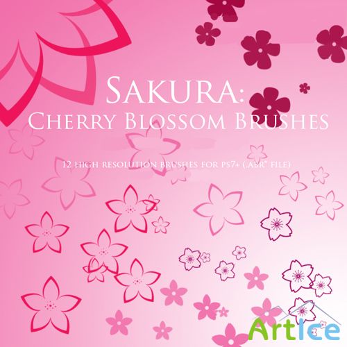 Sakura Cherry Blossom Brushes