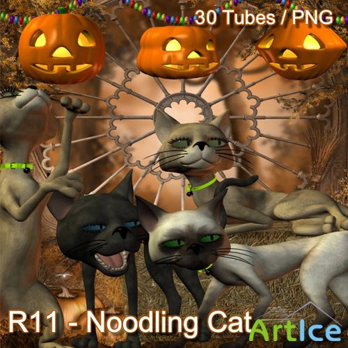 R11 - Noodling Cat