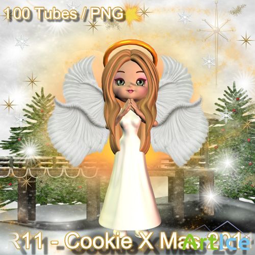 R11 - Cookie X-Mas 2011