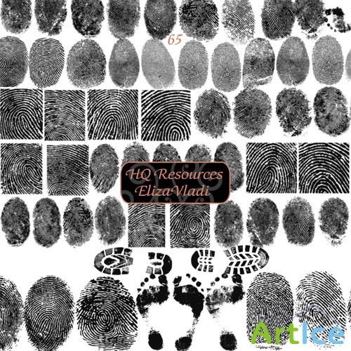 Fingerprints Brushes