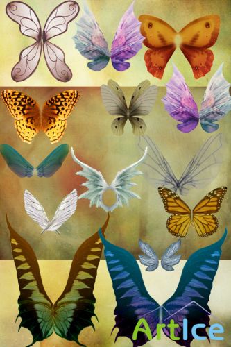 Psd fairy Butterfly wings