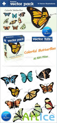 Premium Vector Pack  Colorful Butterflies