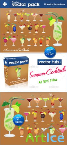 Premium Vector Pack  Summer Cocktails