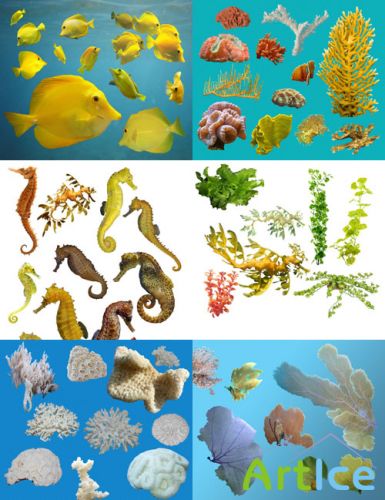 Underwater plants, seahorses, white coral and yellow fish