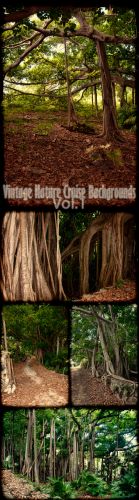 Vintage Nature Cruise Backgrounds Vol.1