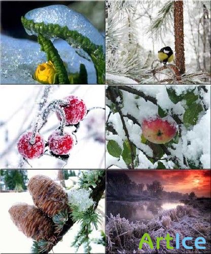 Подборка замечательных видов природы - Зимняя сказка