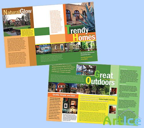 Templates for Design - Trendy Homes Brochure 11 x 8.5 BoxedArt