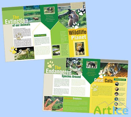 Templates for Design - World Creatures Brochure 11 x 8.5 BoxedArt