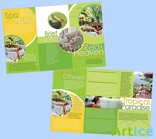 Templates for Design - Spa World Brochure 5.25 x 13.5 BoxedArt