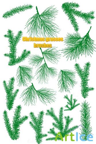 Grasses Christmas Brushes