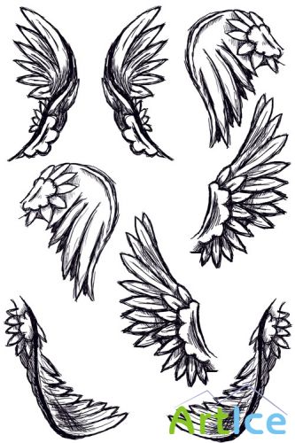 Wing Feather brushes for Photoshop