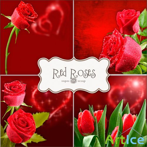 Textures - Red Roses Backgrounds #3