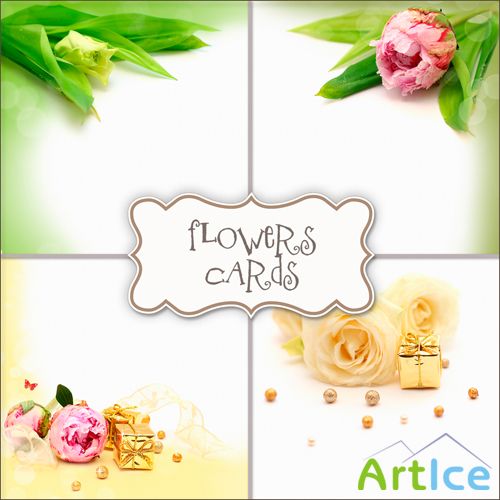 Textures - Flowers Cards