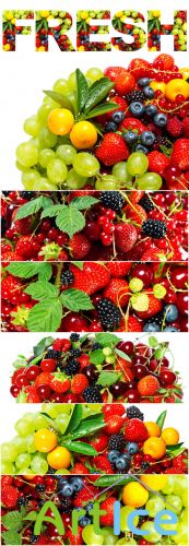 Mix of Fresh Summer Berries