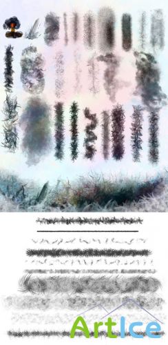 Anamorph brushes set for Photoshop