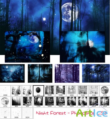 Night forest brushes for Photoshop
