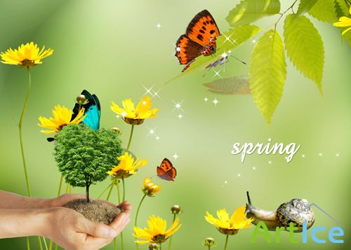 Beautiful Spring Flowers for Photoshop