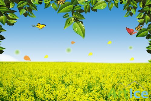 A large field of yellow flowers psd for Photoshop