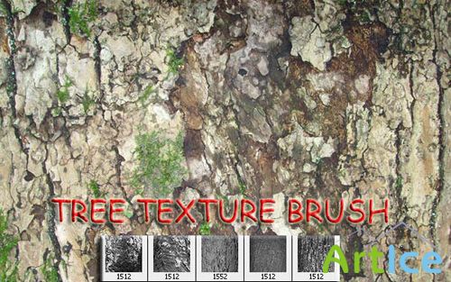 Tree Texture Photoshop brush