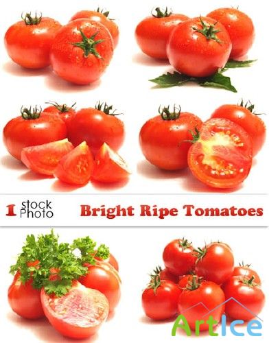 Photo - Bright Ripe Tomatoes