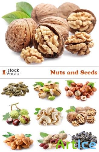 Photo - Nuts and Seeds