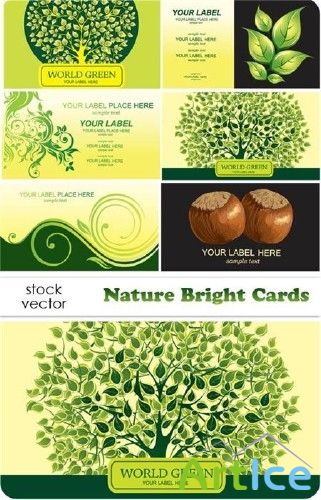 Vectors - Nature Bright Cards