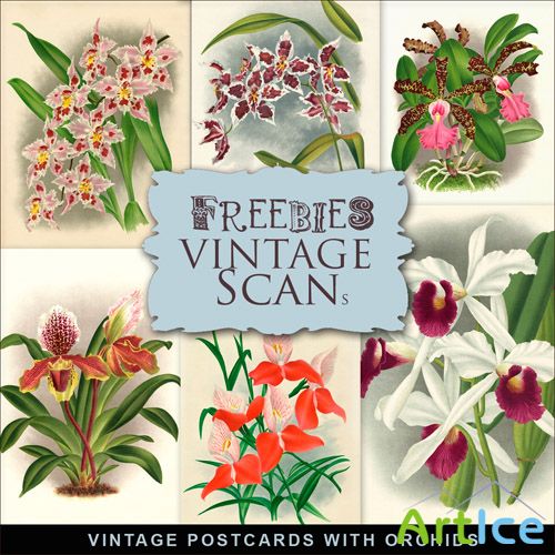 Scrap-kit - Vintage Postcards With Orchids