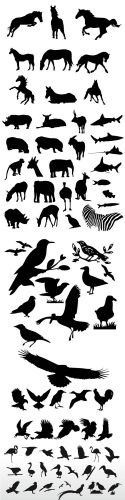 Safari Zoo Animal Vectors for Photoshop