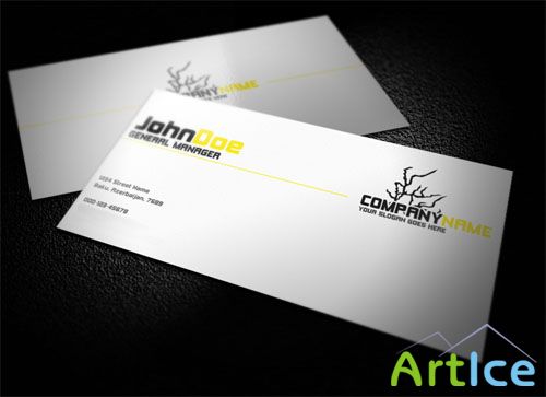 PSD Template - Professional Business Card