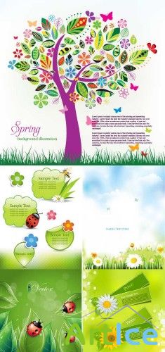 Spring Backgrounds Vector 3
