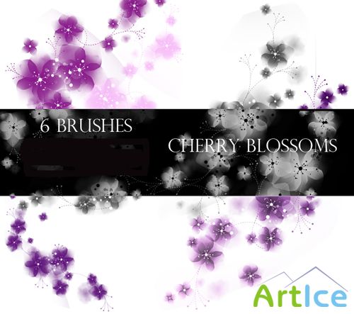Cherry Blossoms Photoshop Brushes