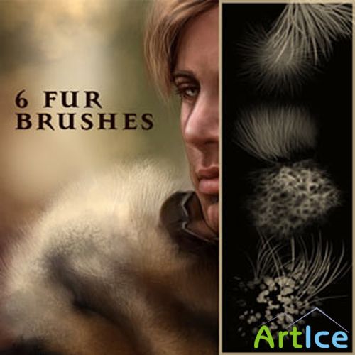 Fur Brushes Set for Photoshop