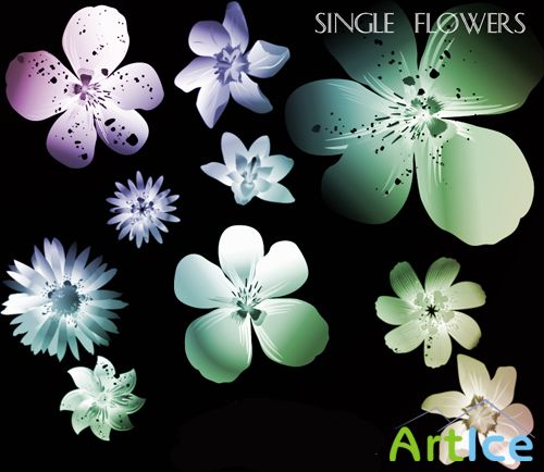 Single Flowers Brushes Set for Photoshop