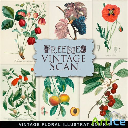 Scrap-kit - Vintage Floral Illustrations