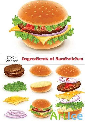 Vectors - Ingredients of Sandwiches