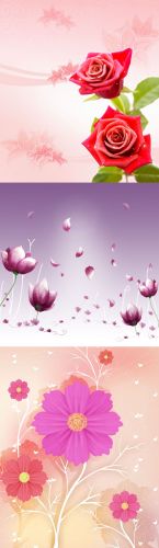 Spring Flower Backgrounds psd for Photoshop