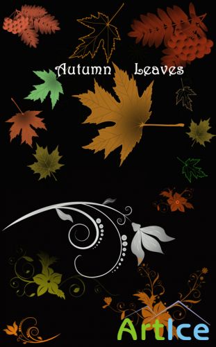 Autumn Leaves Brushes Set for Photoshop