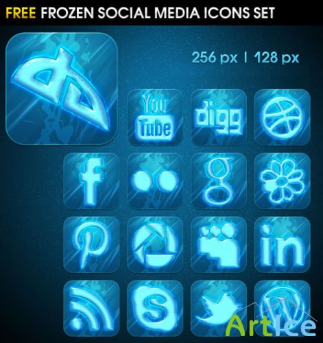 Frozen Social Media Icons Set