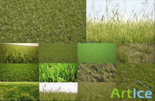 3D Models. The grass