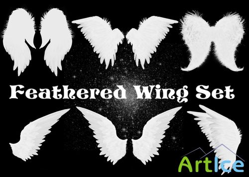 Feathered Wing Brushes Set