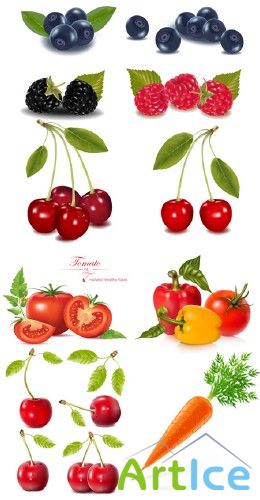 Photo-realistic Fruit and Vegetables - Stock Vectors