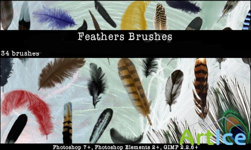 Feathers Photoshop Brushes Set