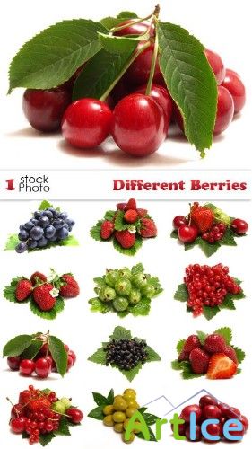 Photo - Different Berries