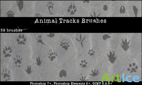 Animal Tracks Photoshop Brushes