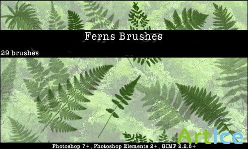 Ferns Photoshop Brushes Set