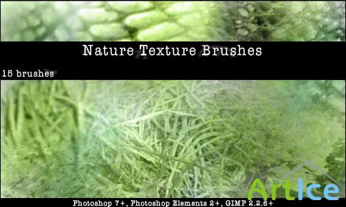Nature Textures Brushes Set