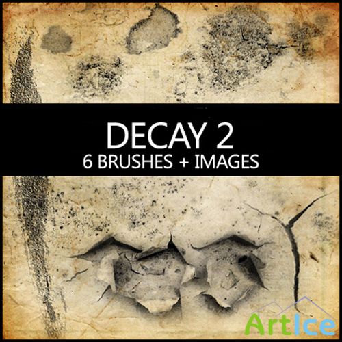 Decay Brushes 2 Set