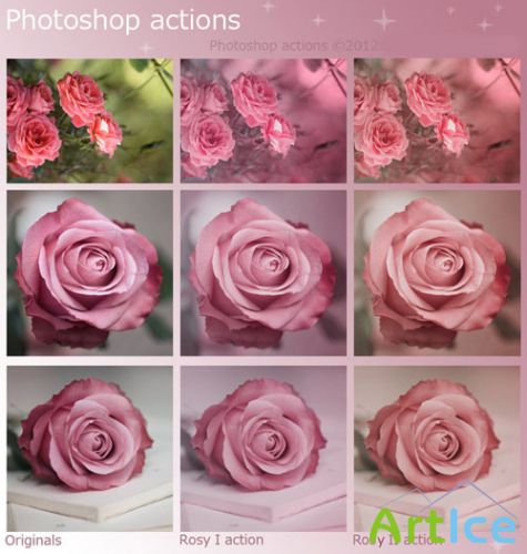 Actions for Photoshop - Rosy