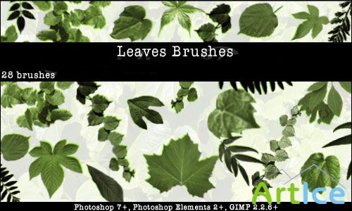 Leaves Photoshop Brushes