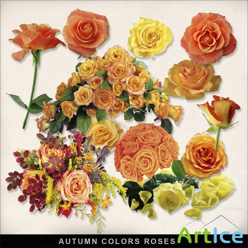 Scrap-kit - Autumn color Roses